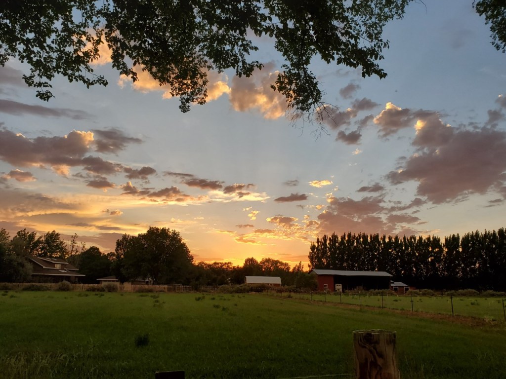 thumbnail_20190627_202104